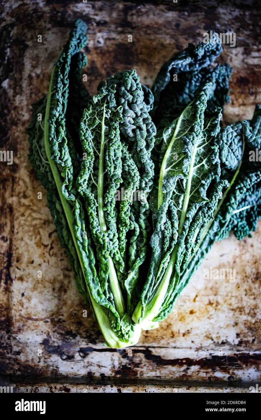 Semi Lacinato Dinosauro Semi Di Cavolo Nero Toscano (Lacinato) | Raccolta 2025 Per Orto Domestico - Dinosauro Kale Cavolo Cappuccio - Foto 6