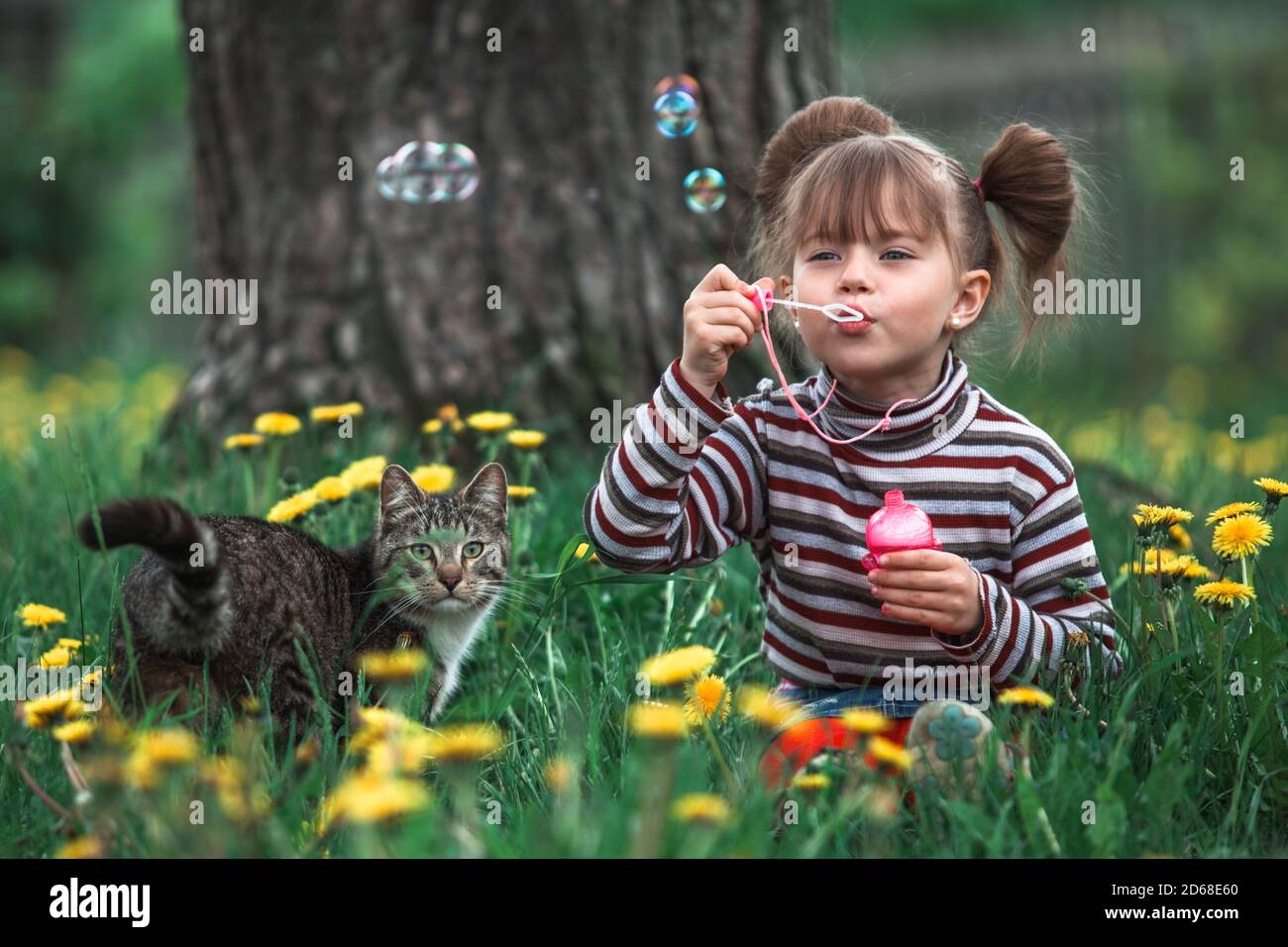Little girl playing with a cat in the green grass Stock Photo - Alamy