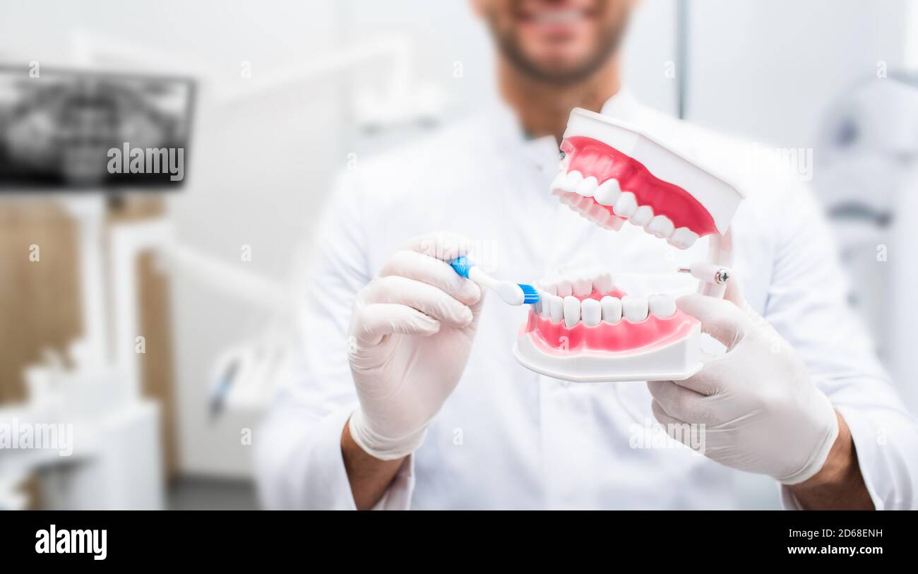 Dentist teaching right way brushing teeth using human teeth model at a dental clinic, close up. Stomatologist will teach you how to brush your teeth. Stock Photo