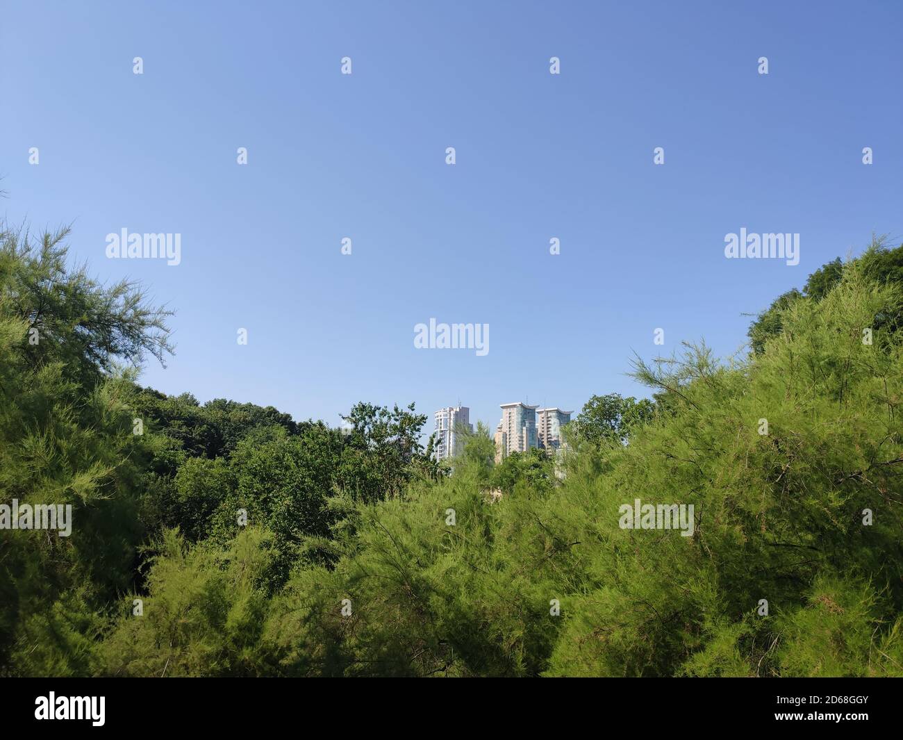 tall office building on green park background Stock Photo