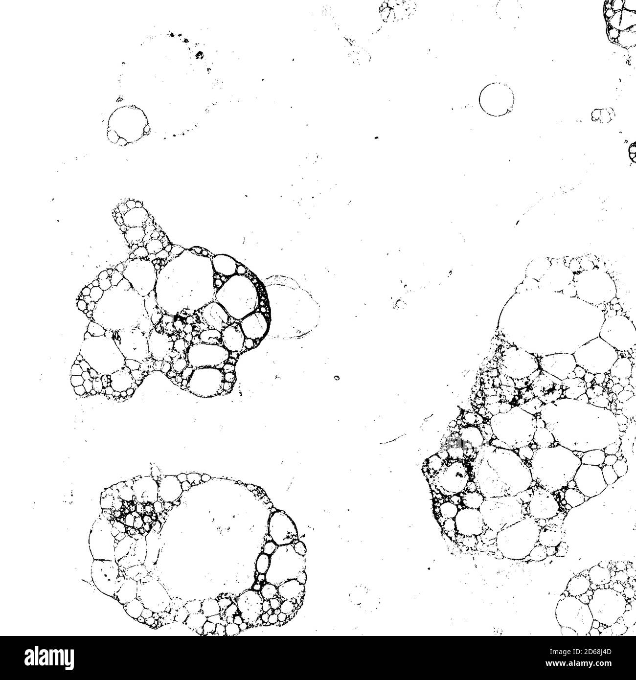 Dirty grunge background texture in black and white Stock Vector Image ...