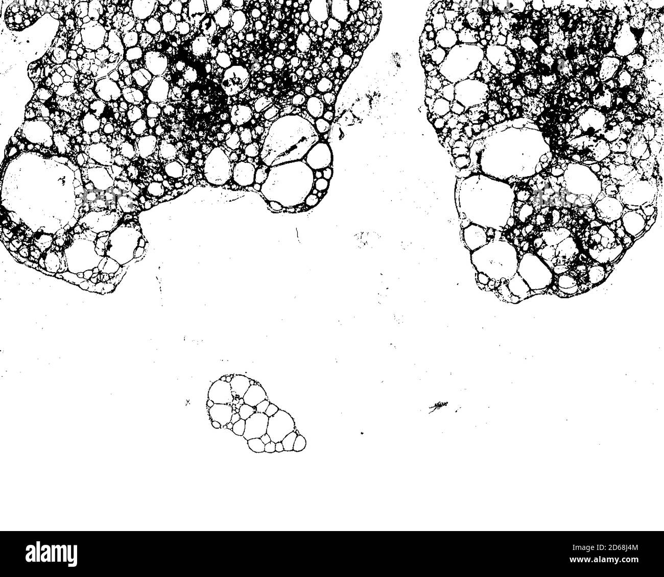 Dirty grunge background texture in black and white Stock Vector Image ...