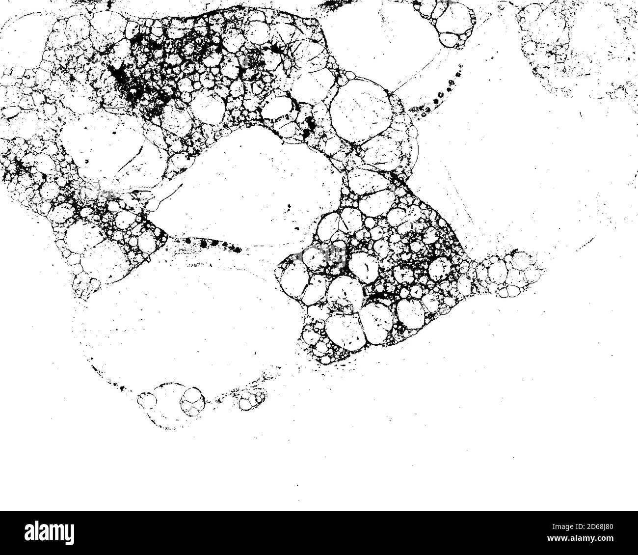 Dirty grunge background texture in black and white Stock Vector Image ...