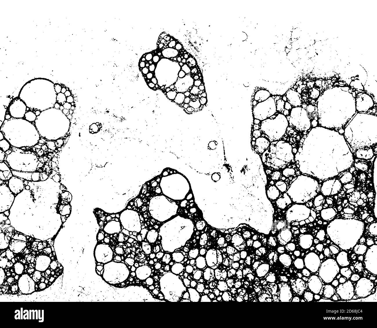 Dirty grunge background texture in black and white Stock Vector Image ...