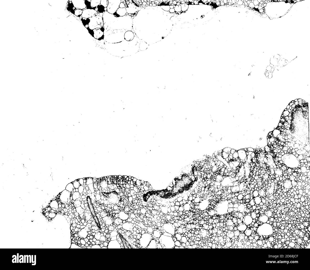 Dirty grunge background texture in black and white Stock Vector Image ...