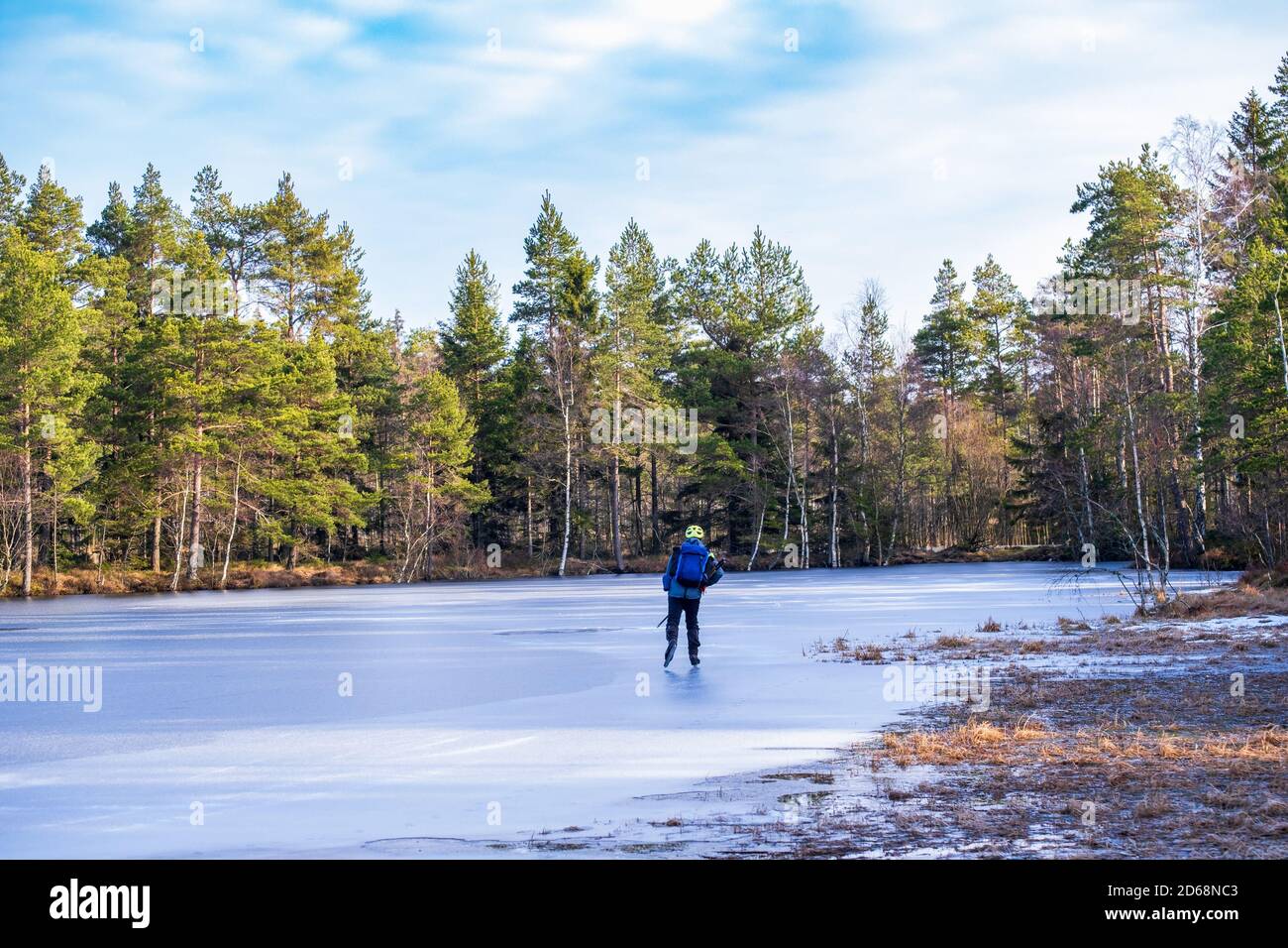 Frozen lake conifer forest on hi-res stock photography and images - Alamy