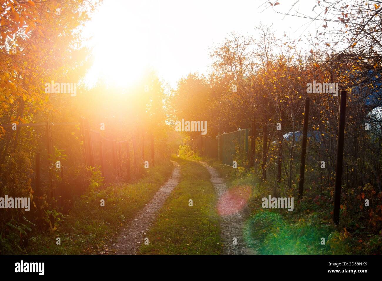 Fences and trees hi-res stock photography and images - Alamy