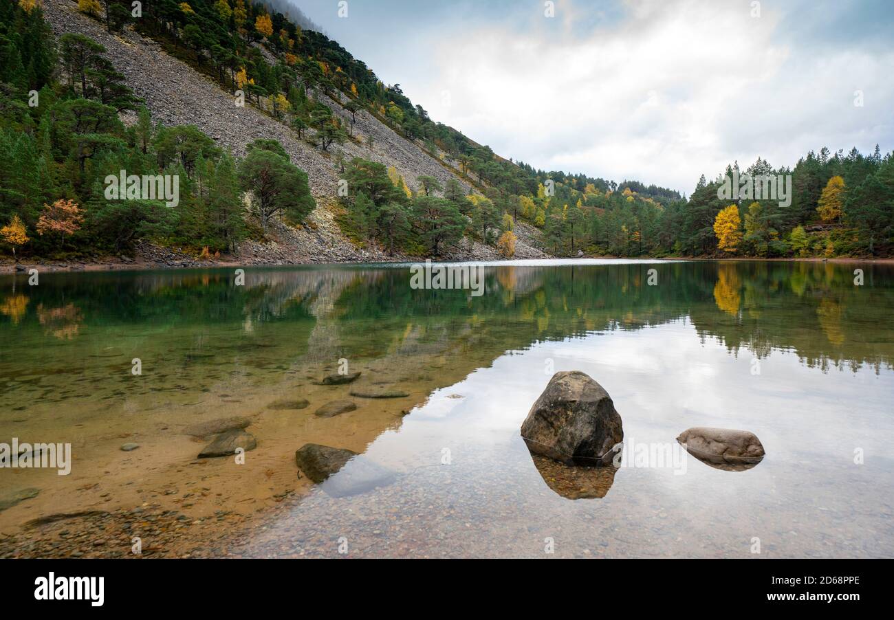 Autumn view An Lochan Uaine more commonly known as the Green Loch due to the striking green colour of it's water in Cairngorms National Park Scotland Stock Photo