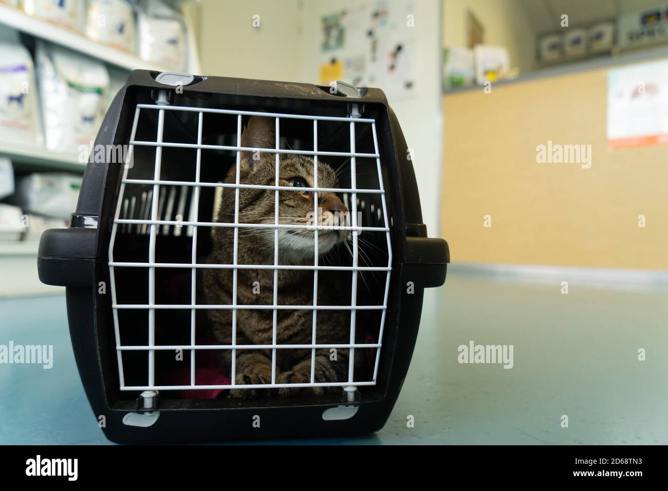 second hand cat cage