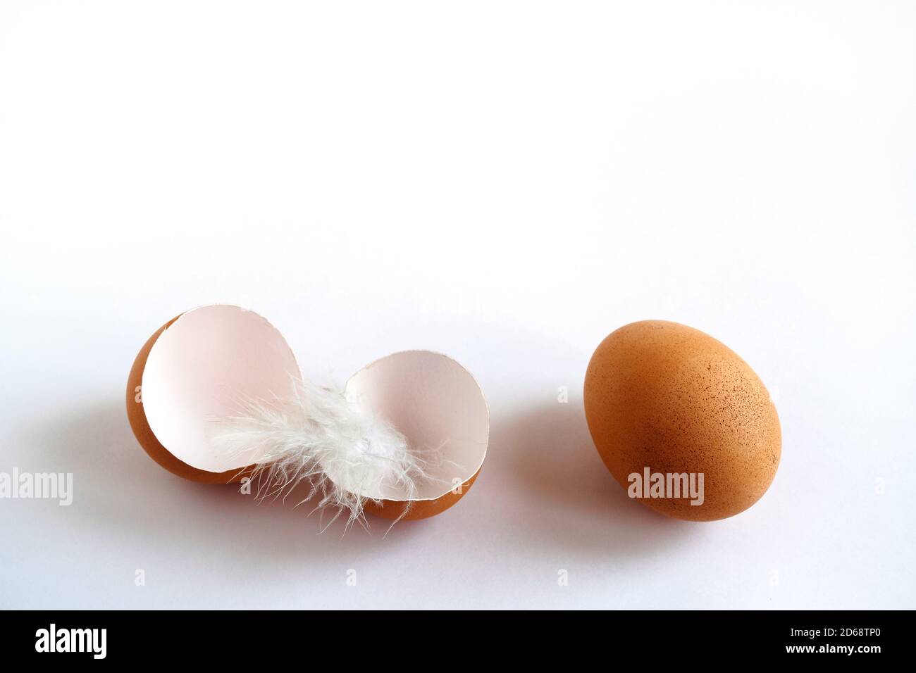 brown egg and eggshell with feather on white background Stock Photo
