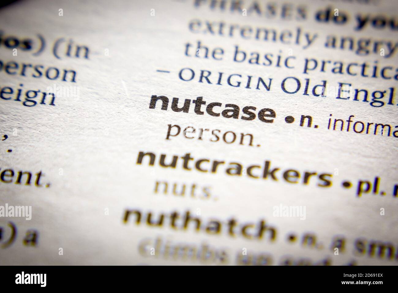 Nutcase hires stock photography and images Alamy