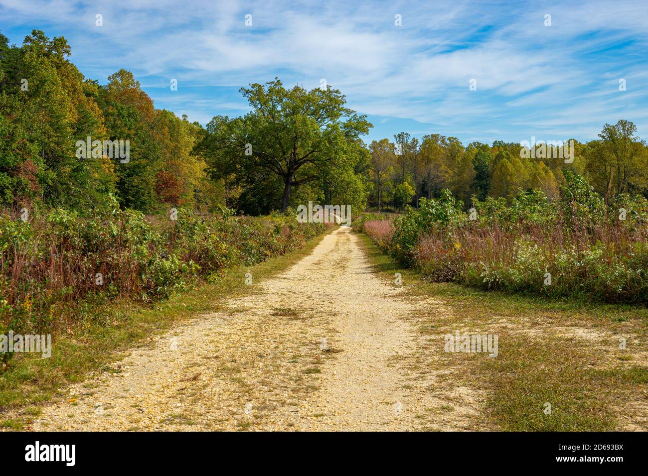 A dirt road with gravel winds through a meadow Stock Photo - Alamy