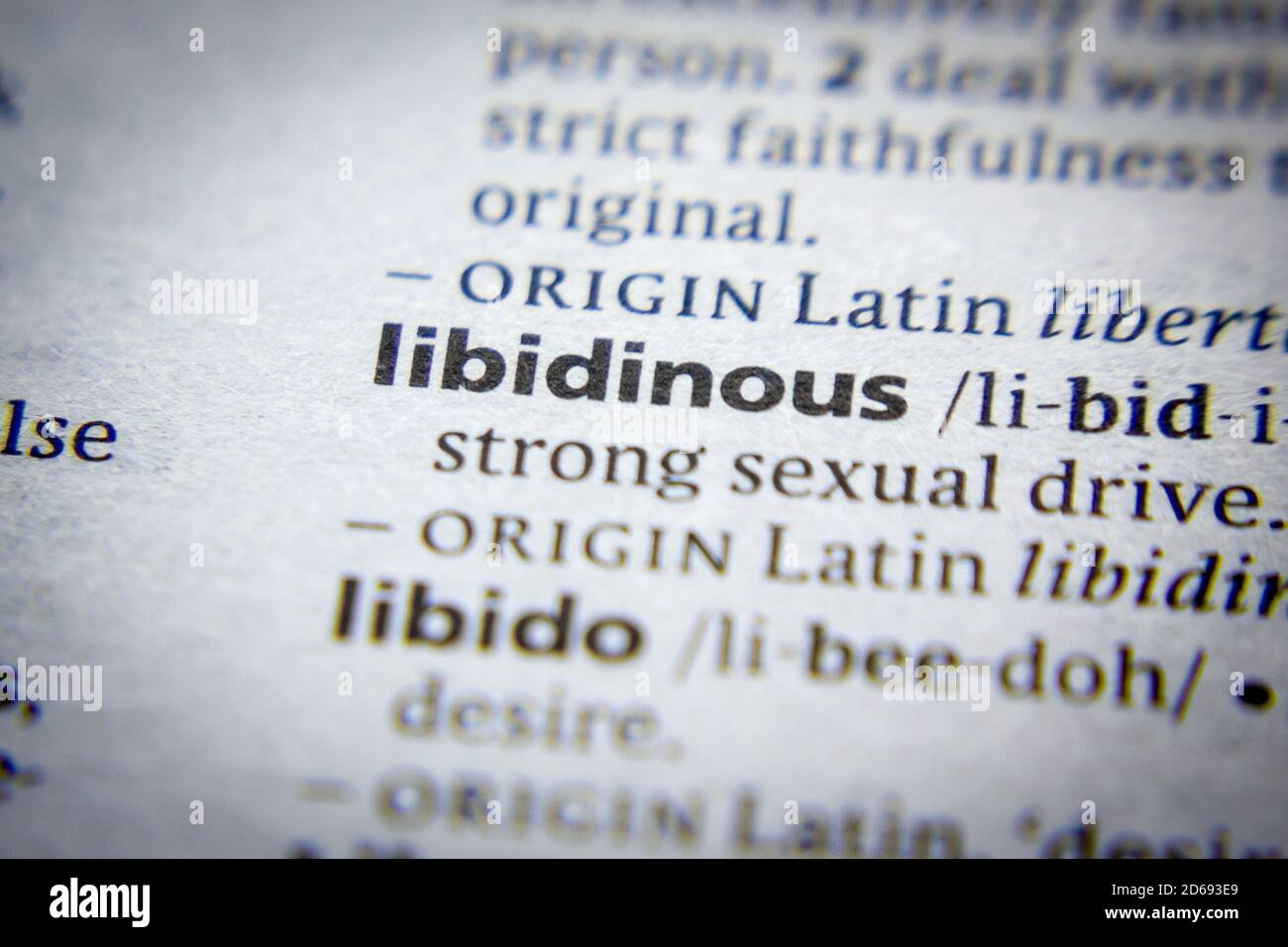 Word or phrase Libidinous in a dictionary Stock Photo