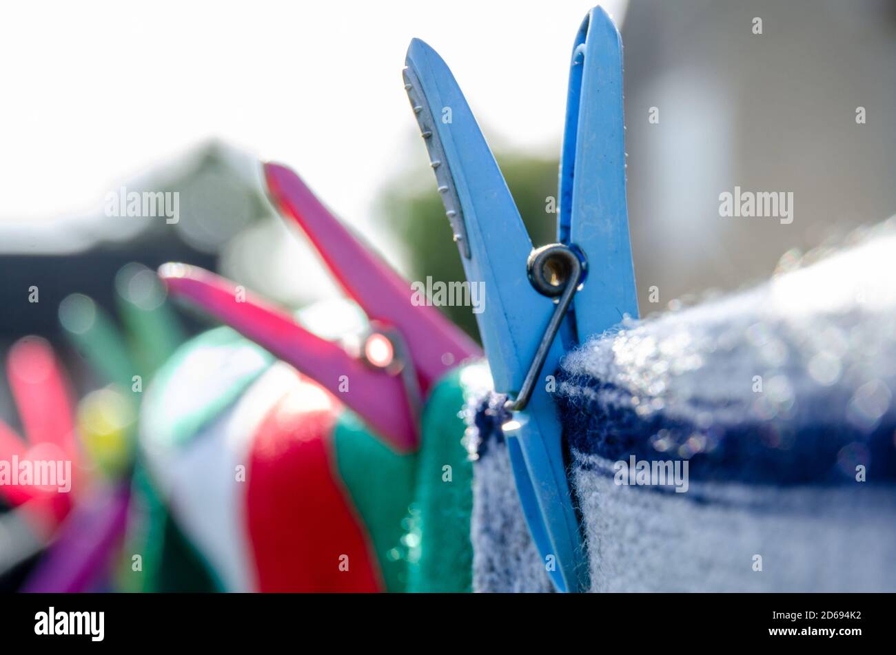 Close up view of laundry pegged to a washing line in a garden with plastic clothes pegs to dry. Stock Photo