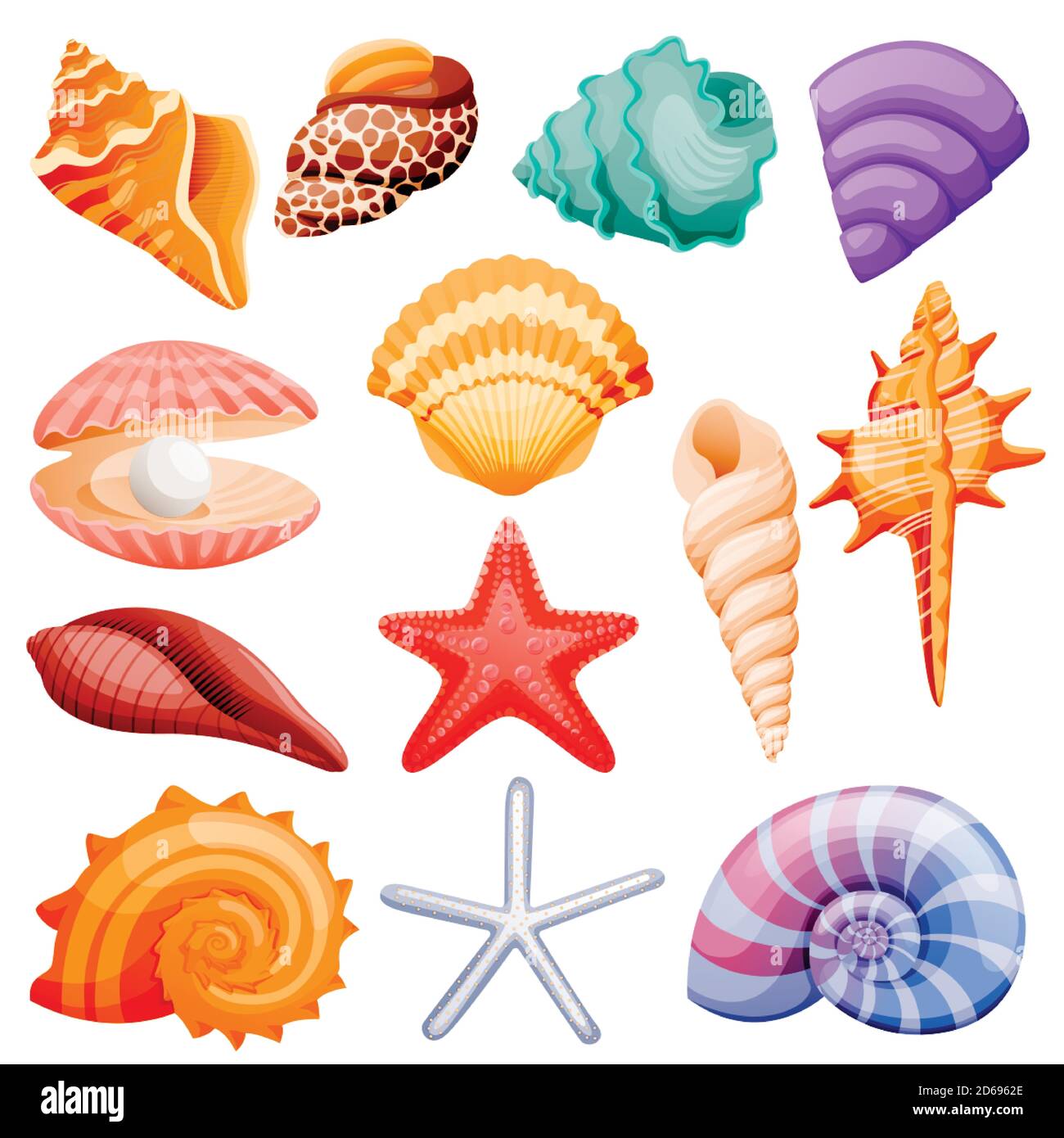 Seashells collection. Vector flat cartoon illustration. Summer travel  design elements, isolated on white background. Sea shells colorful icons  set Stock Vector Image & Art - Alamy