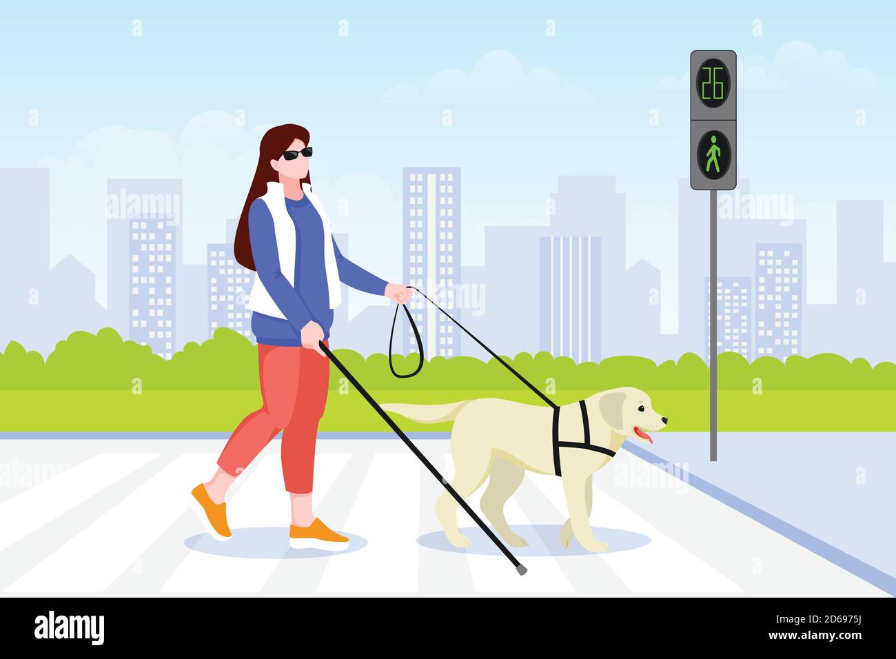 Young blind woman crosses street road with guide dog. Labrador retriever helping disabled female on pedestrian crossing. Vector flat cartoon illustrat Stock Vector