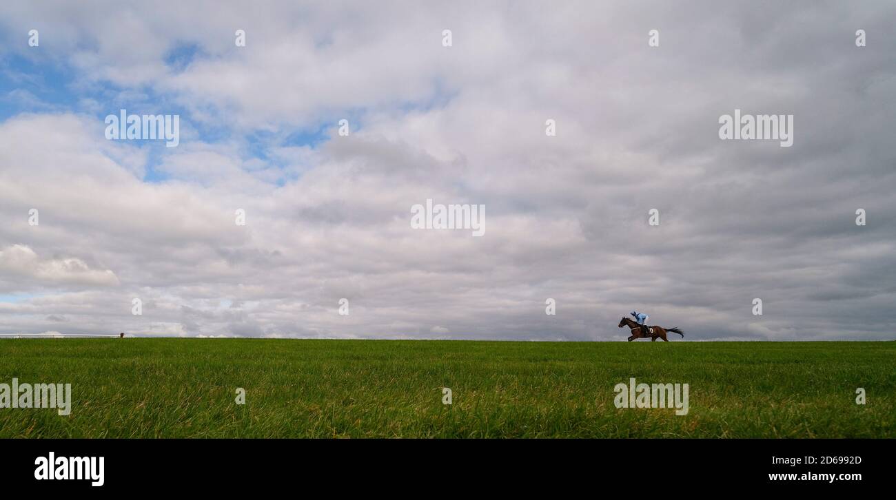 A general view as a runner races down the back straight in The Join Racing TV Now Maiden Hurdle at Wincanton Racecourse. Stock Photo