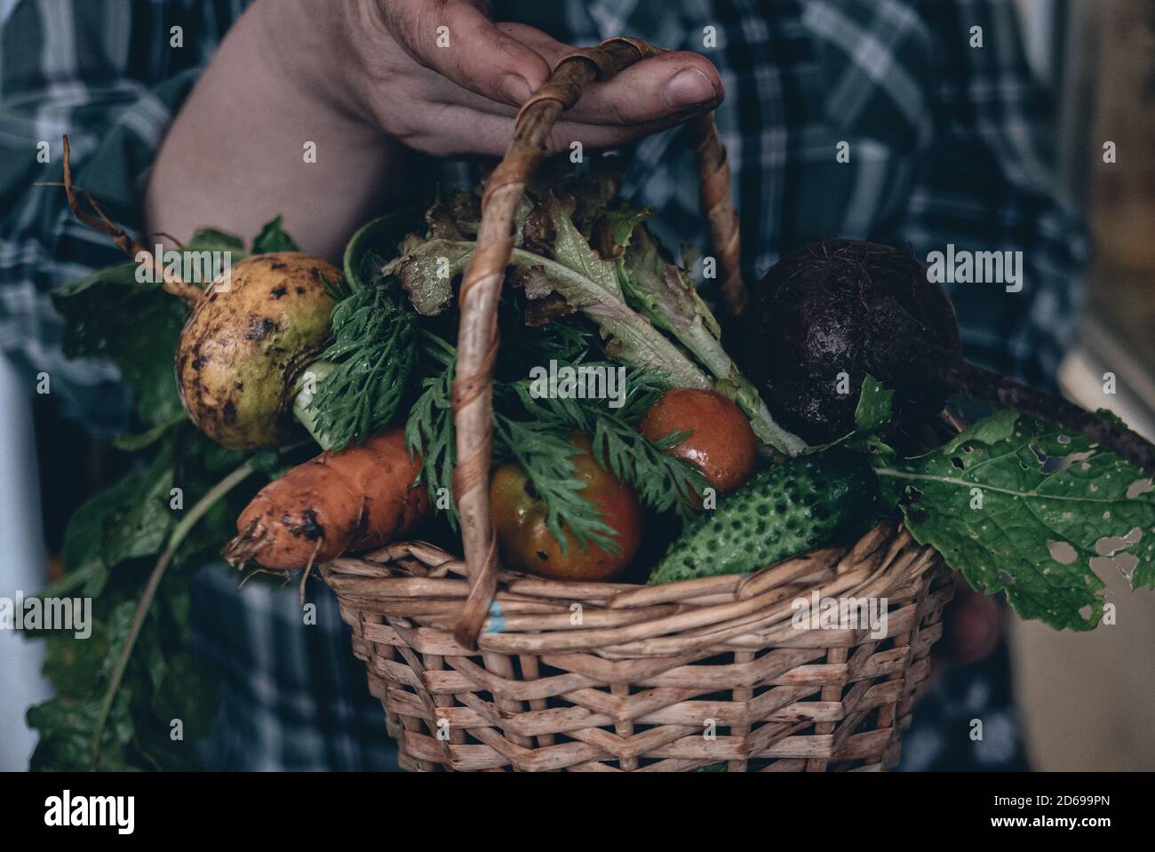Basket with the vegetables in a hands of farmer Stock Photo - Alamy