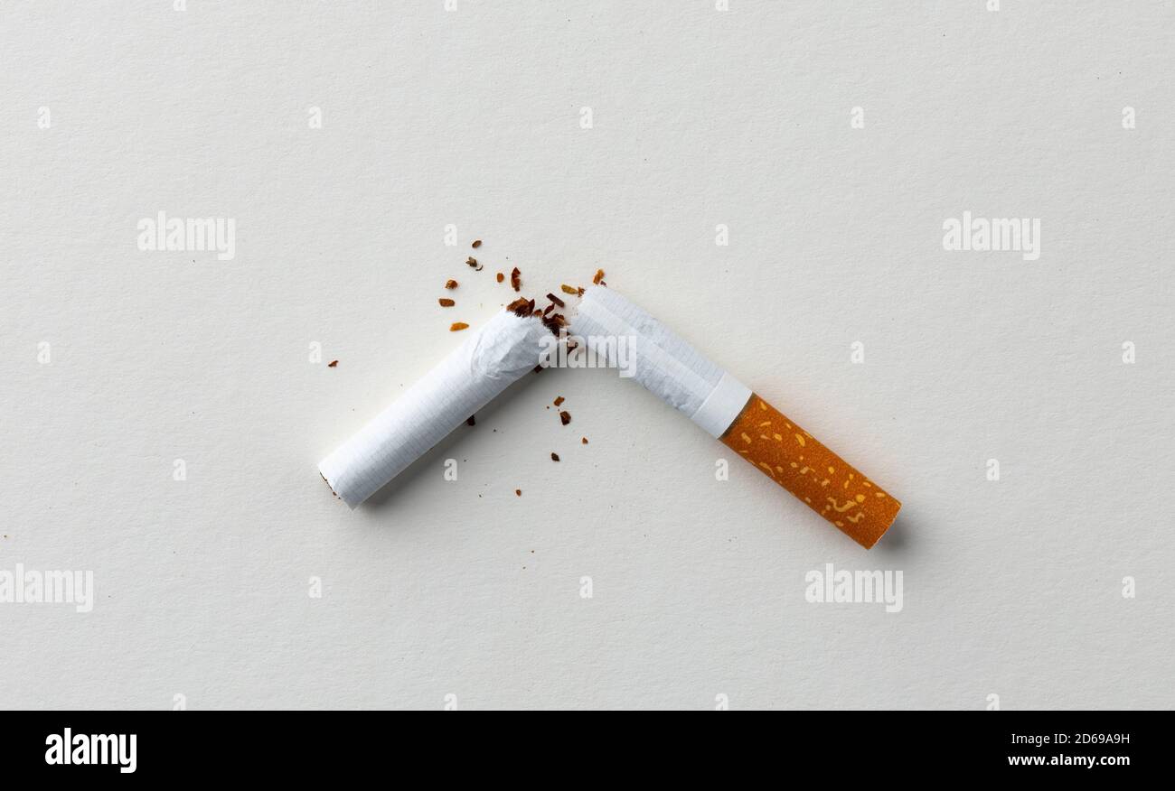 cigarette beetle traps Tobacco Beetle Trap Lasioderma Serricorne Pheromone Trap for Cigarette Beetle Control - Tobacco Beetle Trap, Tobacco Beetle cigarette beetle traps Tobacco Beetle Trap Lasioderma Serricorne Pheromone Trap for Cigarette Beetle Control - Tobacco Beetle Trap, Tobacco Beetle