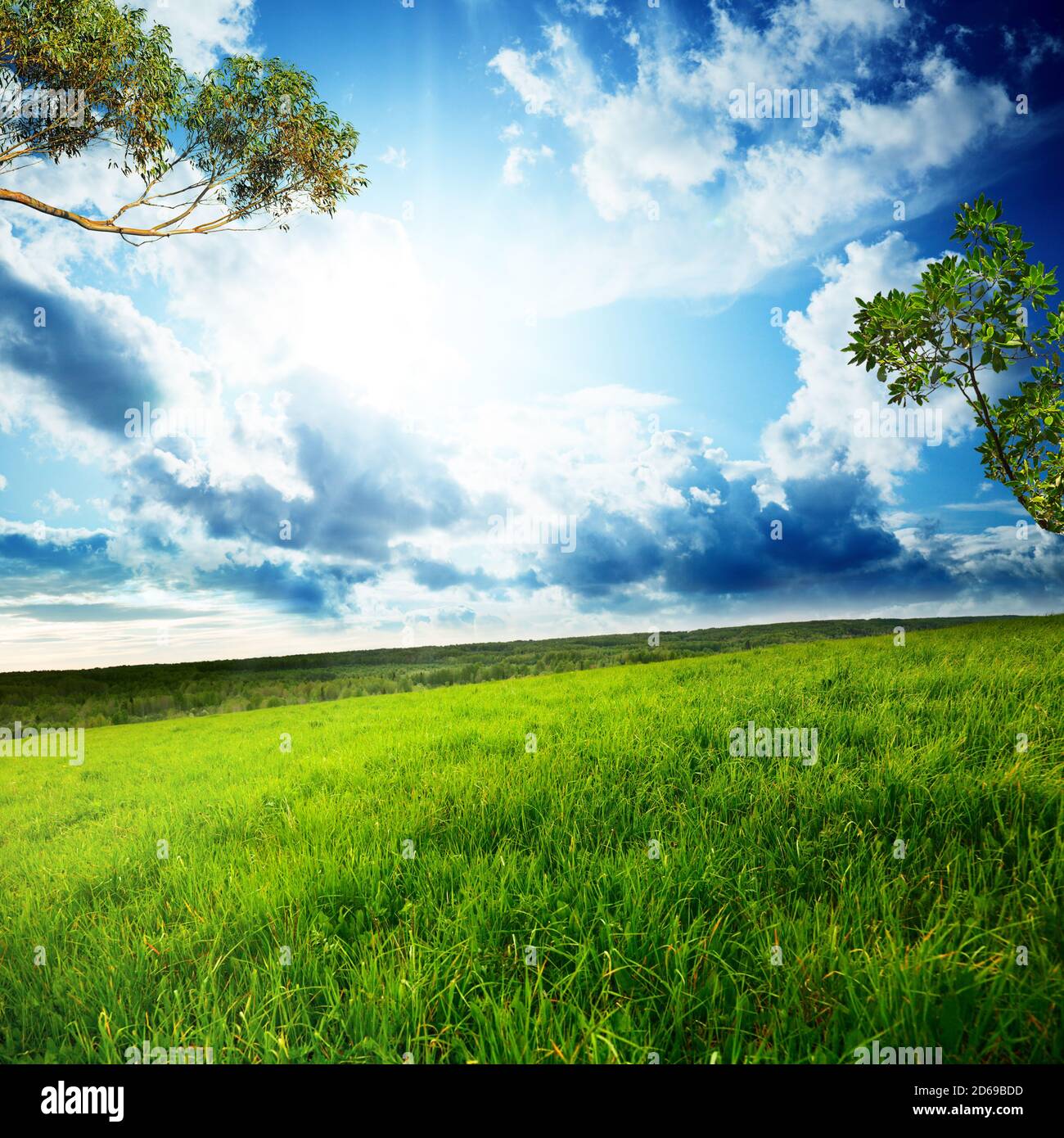 Green meadow and blue sky with clouds Stock Photo - Alamy
