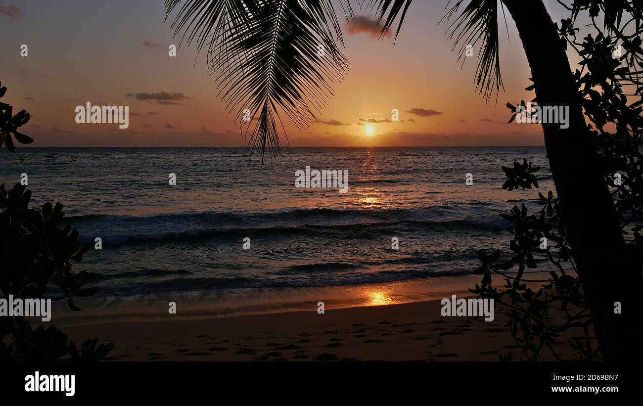 Majestic sunset over ocean horizon with orange colored sun reflecting in water and the silhouettes of plants on tropical beach Anse Takamaka, Mahe. Stock Photo