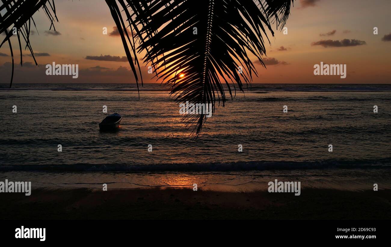 Beautiful peaceful sunset on tropical beach Anse Forbans in the south of Mahe island, Seychelles with sun shining through palm leaf, boat docking. Stock Photo