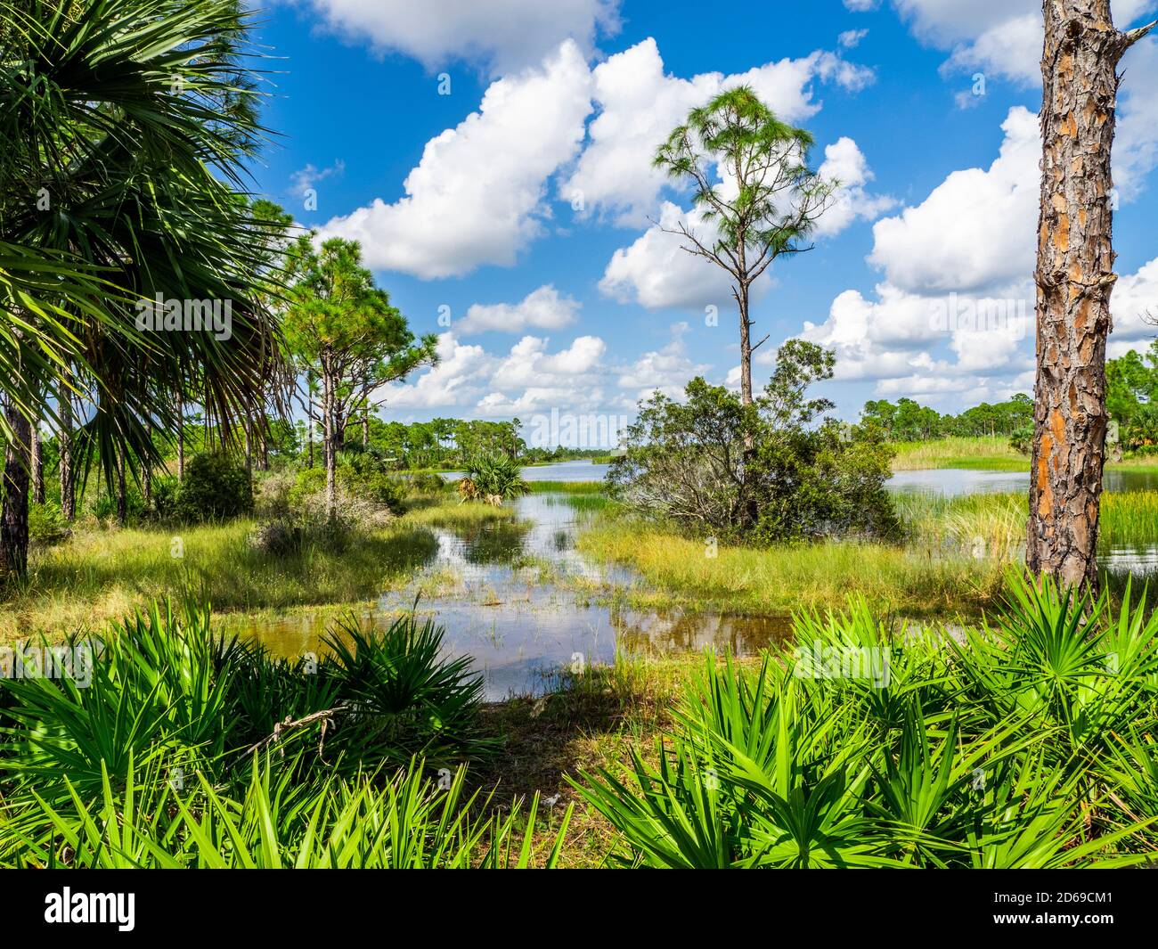 Webb Lale in the  Fred C. Babcock/Cecil M. Webb Wildlife Management Area in Punta Gorda Florida USA Stock Photo