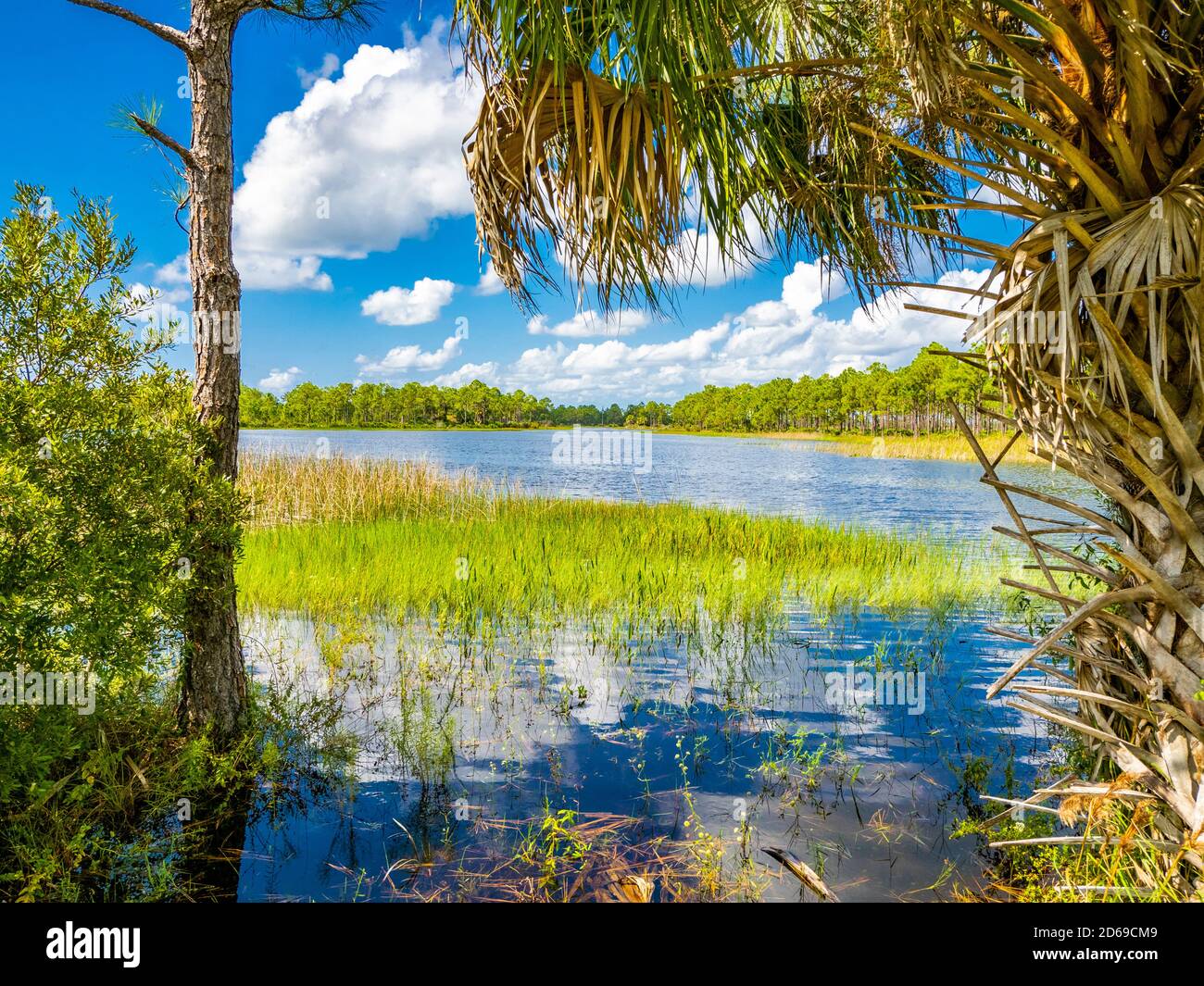 Webb Lale in the  Fred C. Babcock/Cecil M. Webb Wildlife Management Area in Punta Gorda Florida USA Stock Photo