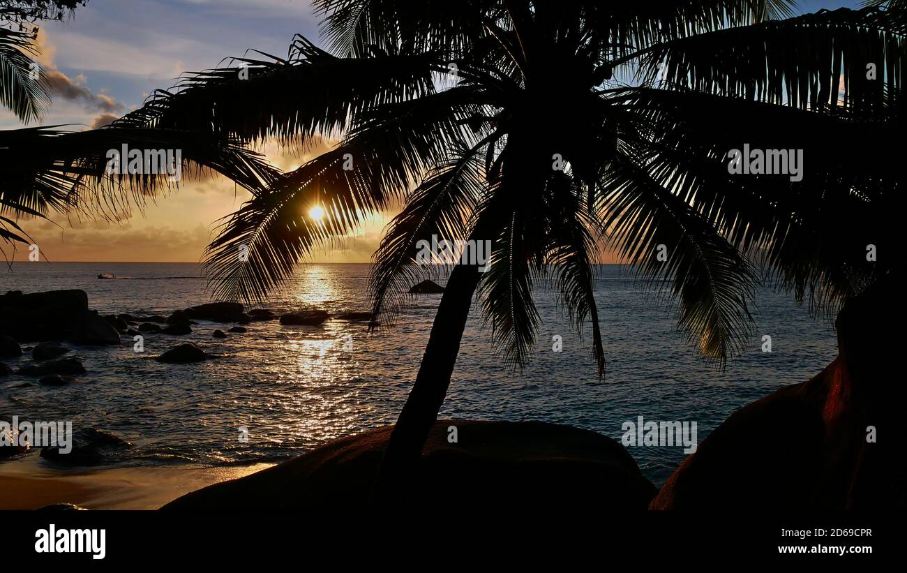Stunning beautiful sunset on tropical Tusculum Beach in the north of Mahe island, Seychelles with bright sun shining through the leaf of coconut palm. Stock Photo