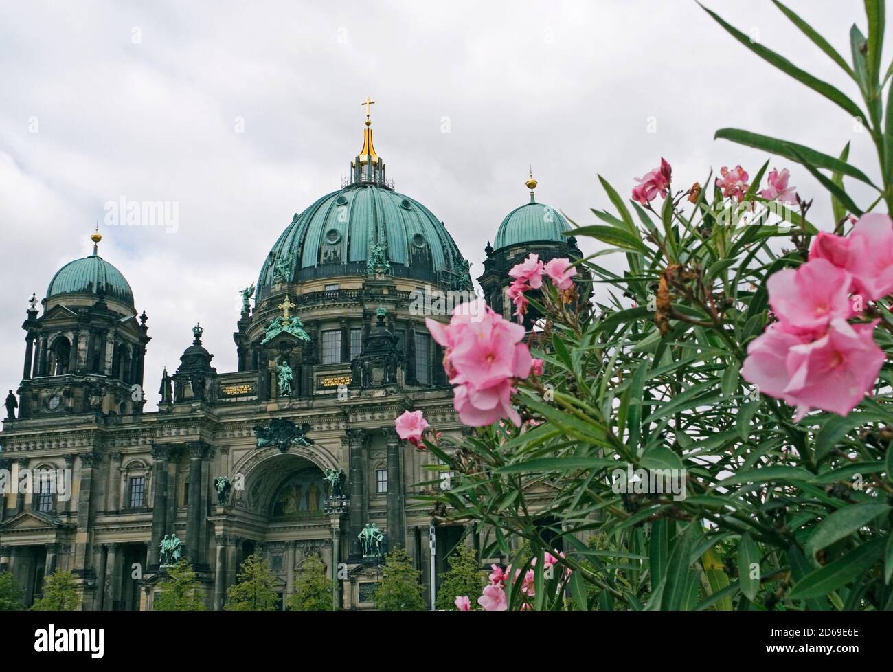 Berlin  cathedral and oleander flowers, Berlin Mitte, Germany Stock Photo