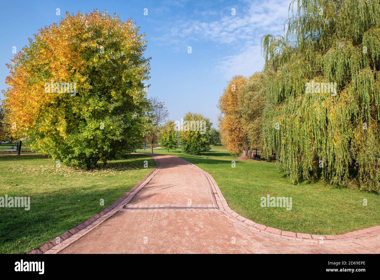 Beautiful autumn romantic alley in a public park with colorful trees and sunlight. Stock Photo
