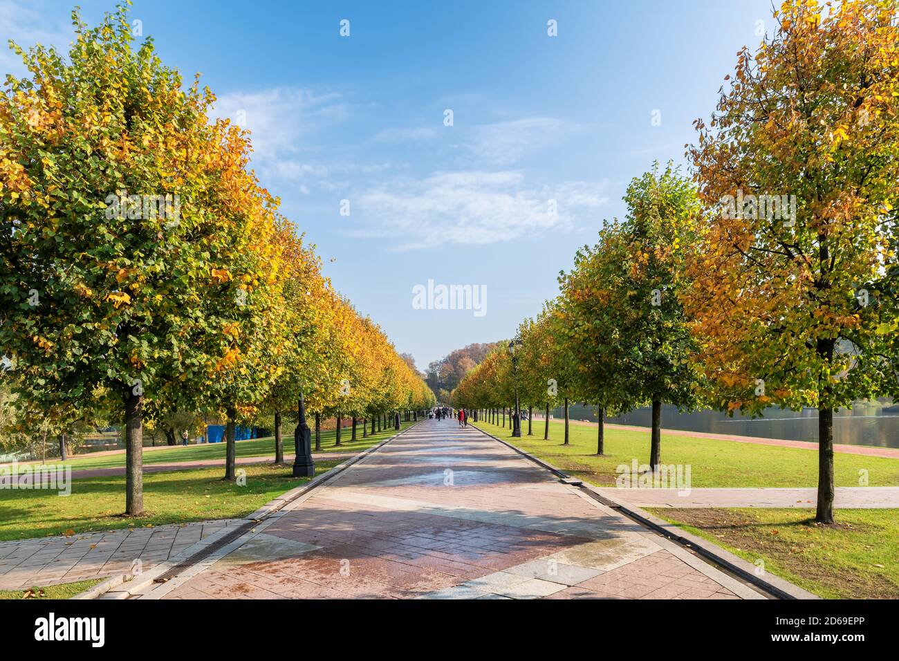 Beautiful autumn romantic alley in a public park with colorful trees ...