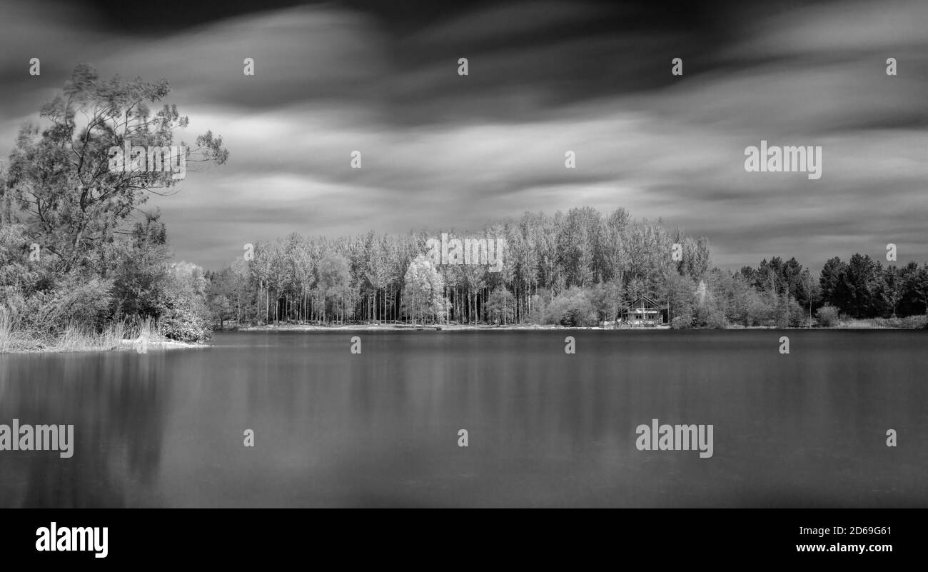 Black & white long exposure of a view across a lake towards an island with a scandinavian style forest of birch trees and a log cabin Stock Photo