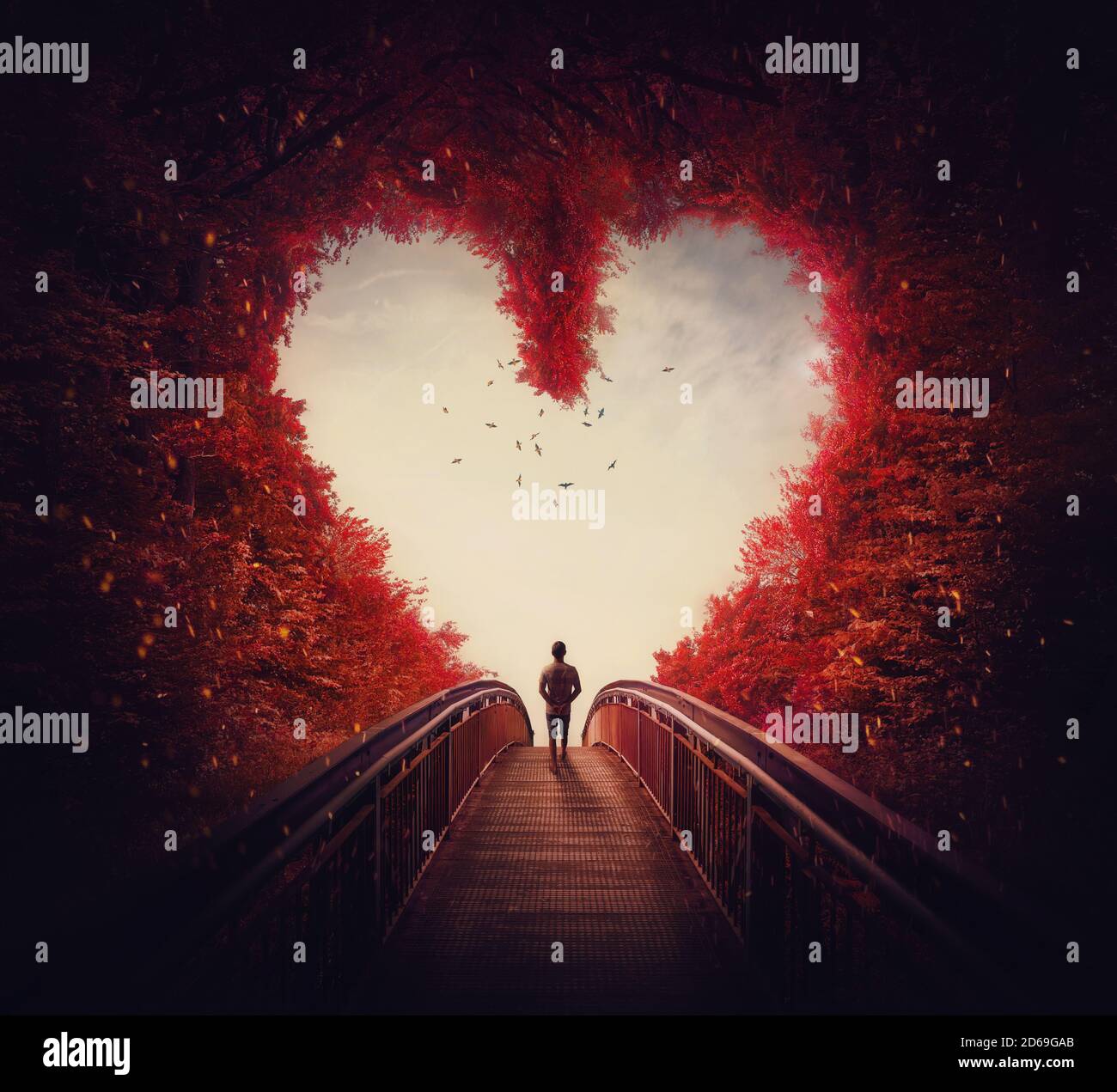 Follow Your Heart Concept A Lone Person Lost In The Autumn Forest Found The Way Out Of The Woods As Walks A Path Through The Heart Shaped Trees Su Stock Photo Follow Your Heart Concept A Lone Person Lost In The Autumn Forest Found The Way Out Of The Woods As Walks A Path Through The Heart Shaped Trees Su Stock Photo