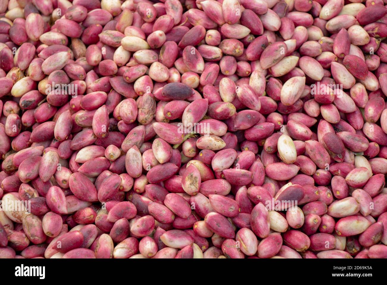 Pistachios nuts. Healthy snack and food. Nuts. Pistachios Stock Photo