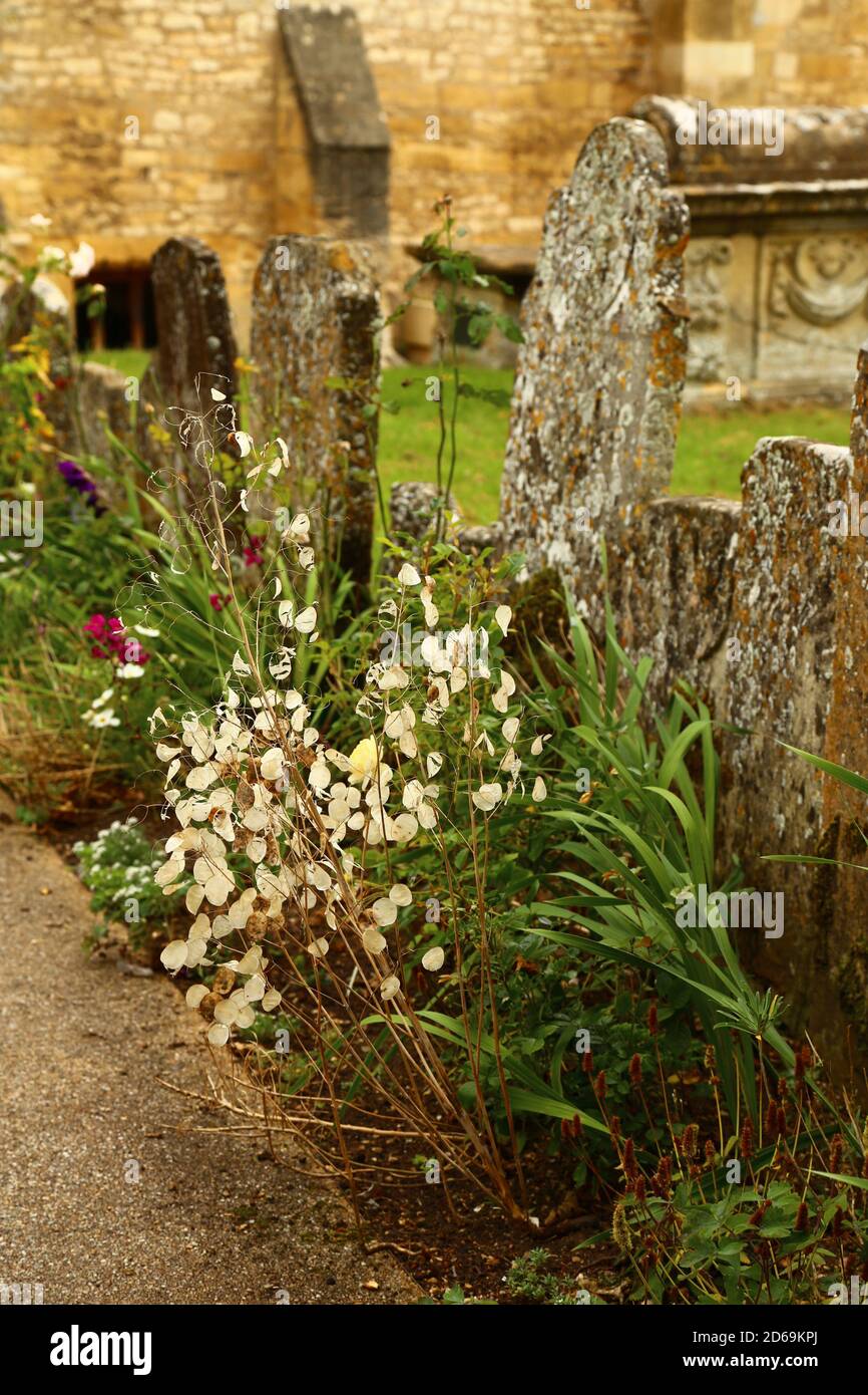 'Beautiful Grave Stones' Burford Churchyard September 2020 Stock Photo