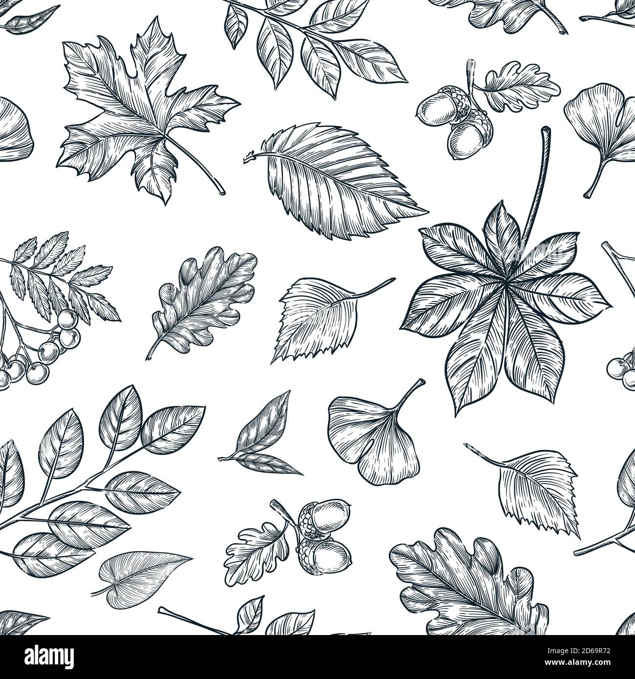 Autumn black white outline leaves seamless pattern. Vector hand drawn sketch illustration of forest plants. Fall nature background design. Trendy fash Stock Vector