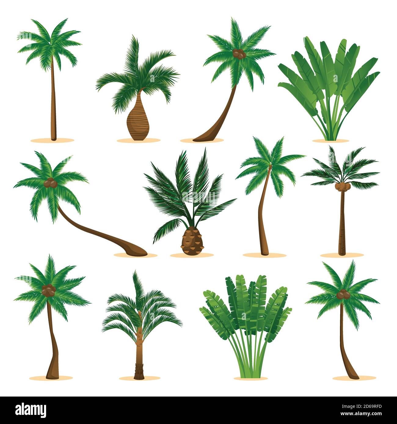 Tropical coconut palm trees set, isolated on white background. Vector flat cartoon illustration. Jungle plants and summer floral design elements. Stock Vector