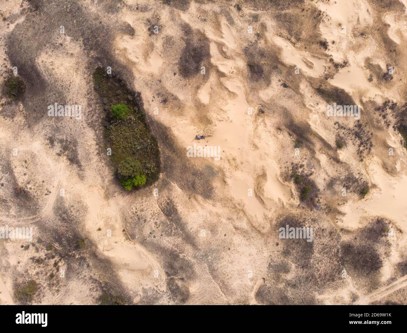 Aerial Drone Shot in The largest desert in Europe, Ukraine - Oleshky Sands with Some bushes and Pine trees. Plants in the desert, a lot of yellow sand Stock Photo