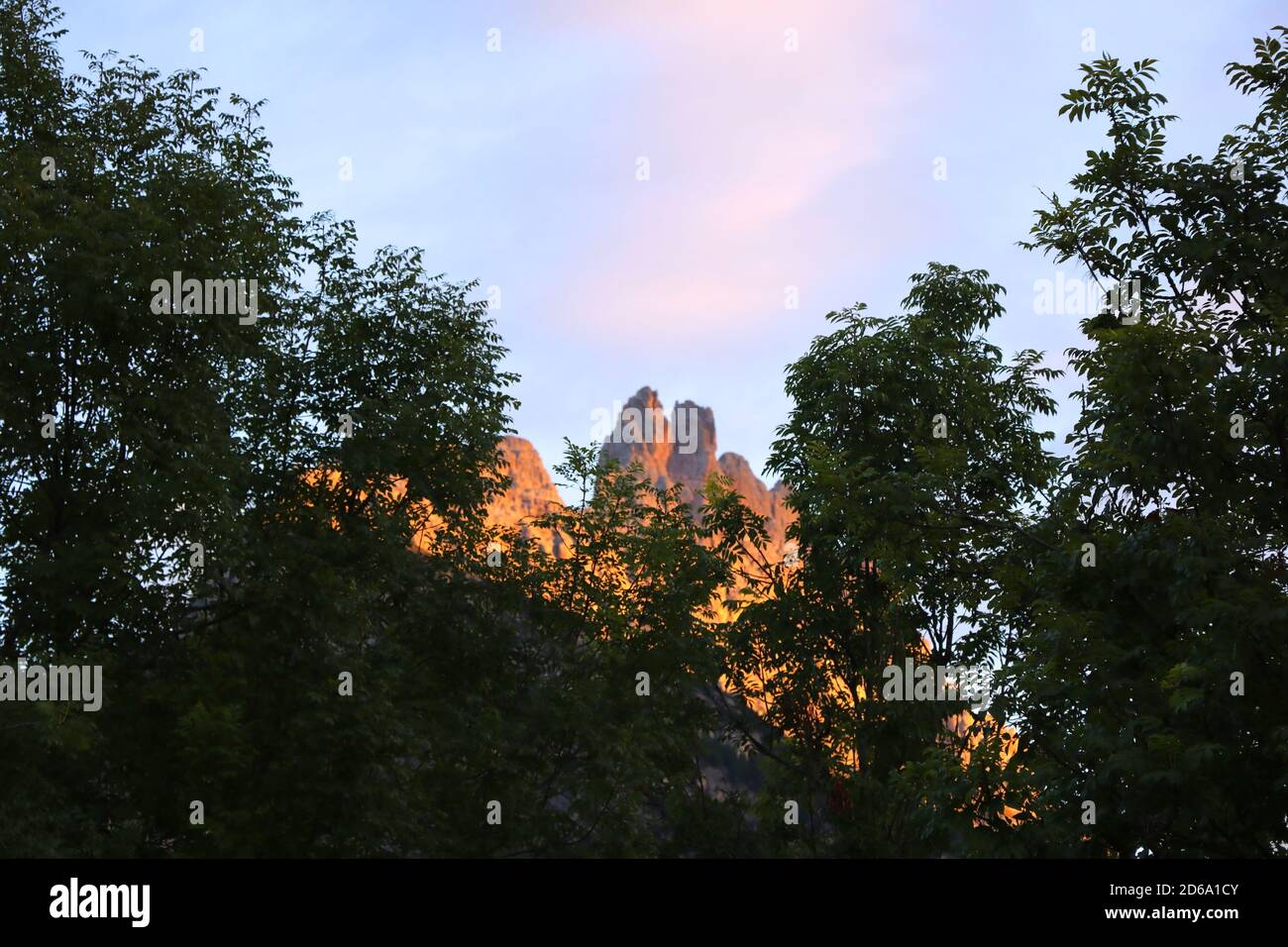 In the foreground is vegetation, green trees. In the background is the top of the Dolomite Mountain. Illuminated by sunrise or sunset. Selective focus Stock Photo