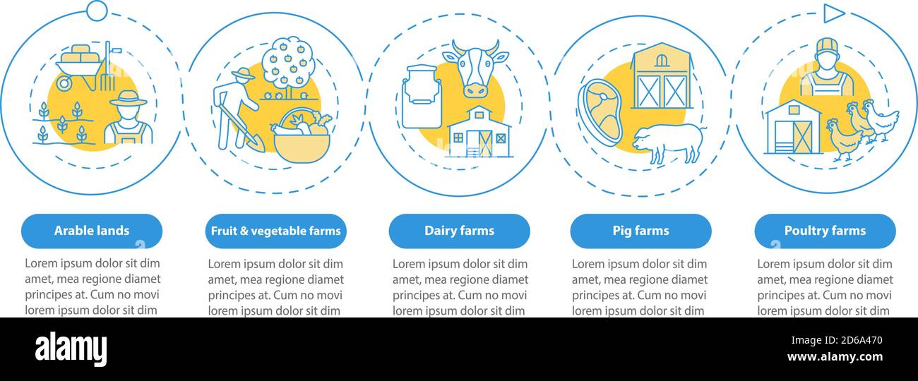 Farm Productivity Graphics Farm production types vector infographic template Stock Vector Image ...