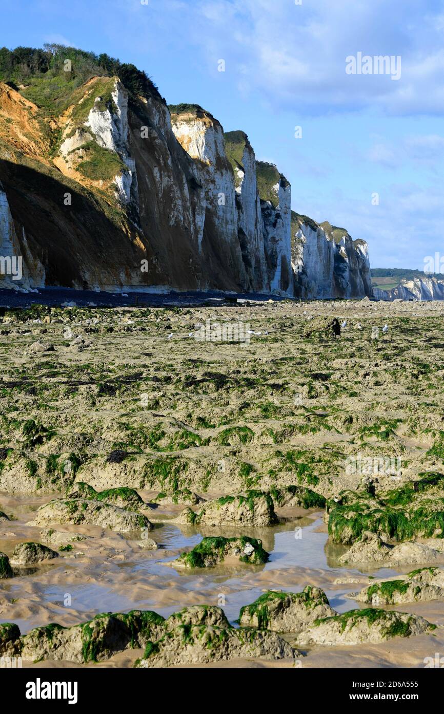 Cliffs in Dieppe, Côte d'Albatre, Haute-Normandie, France. Stock Photo