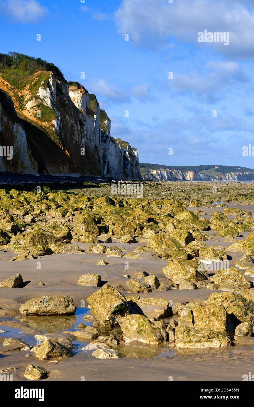 Cliffs in Dieppe, Côte d'Albatre, Haute-Normandie, France. Stock Photo
