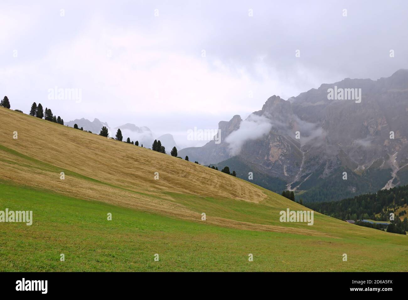 The peaks of the Dolomites in Italy are covered in fog. Early wet foggy morning. Beginning of autumn. Clean fresh air, lack of people. Selective focus Stock Photo