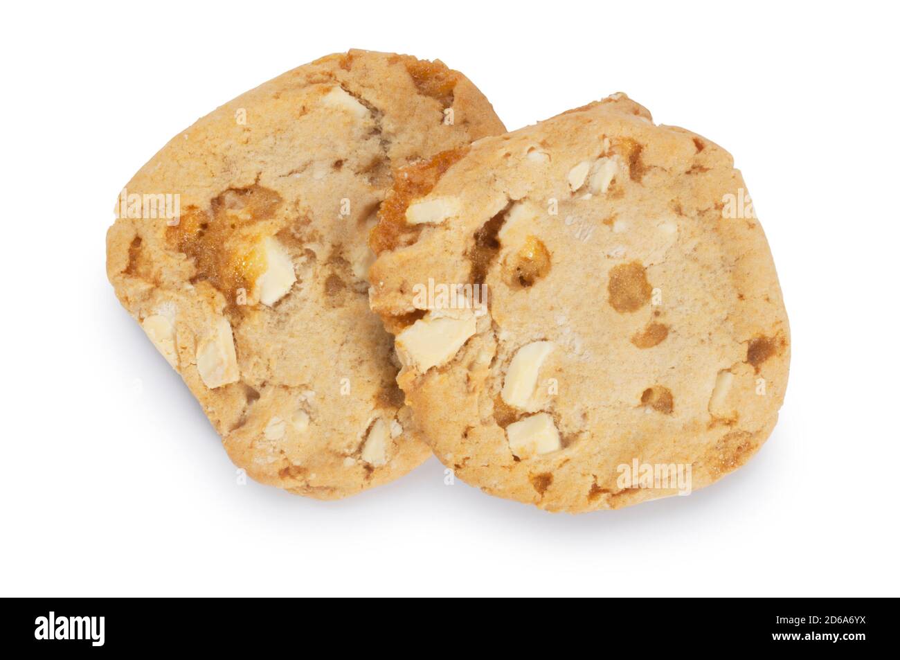 Studio shot of white chocolate and honeycomb biscuit cut out against a white background - John Gollop Stock Photo