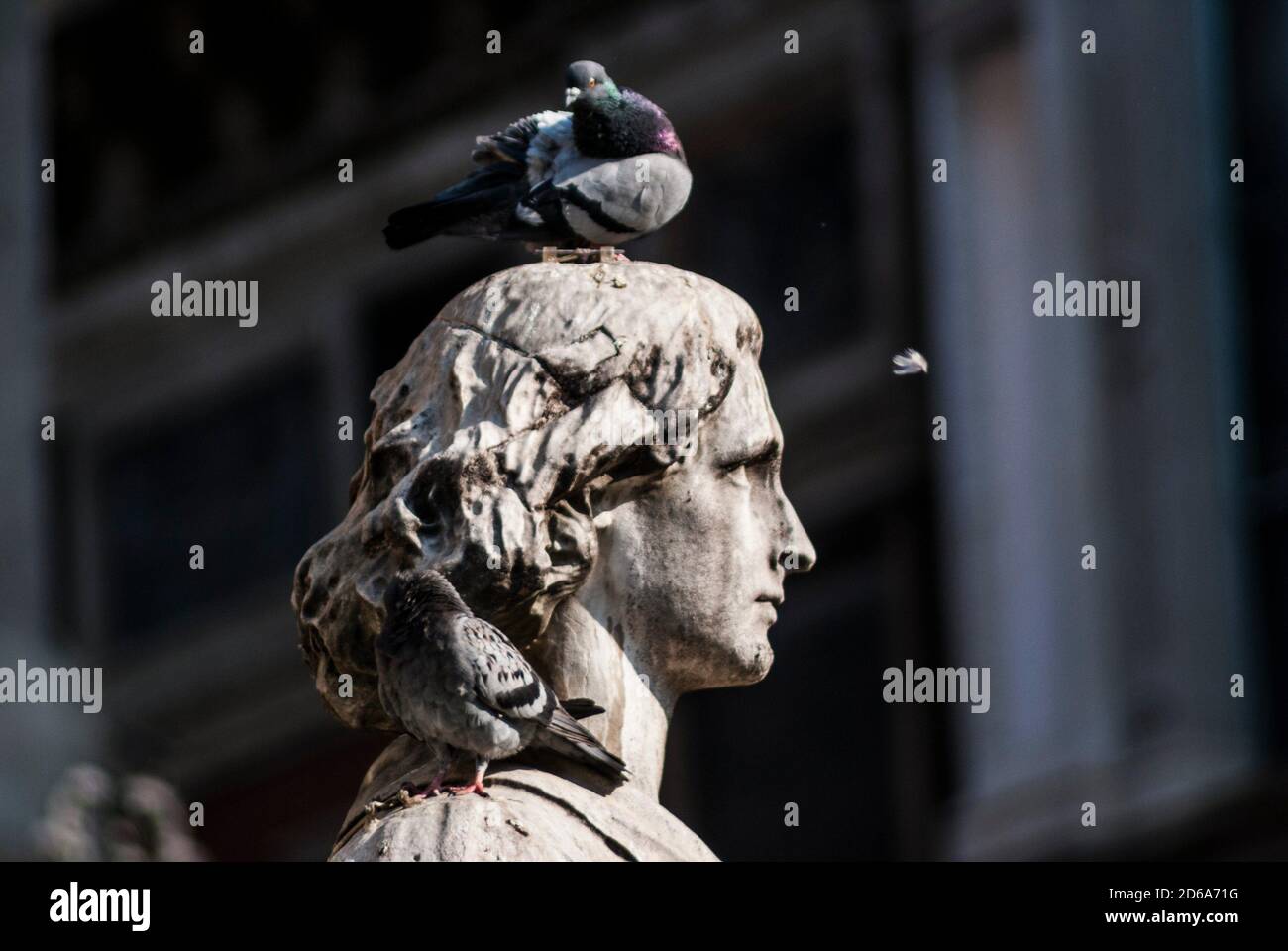 Statue of Marco d'Oggiono, pupil of da Vinci. Monument to Leonardo da