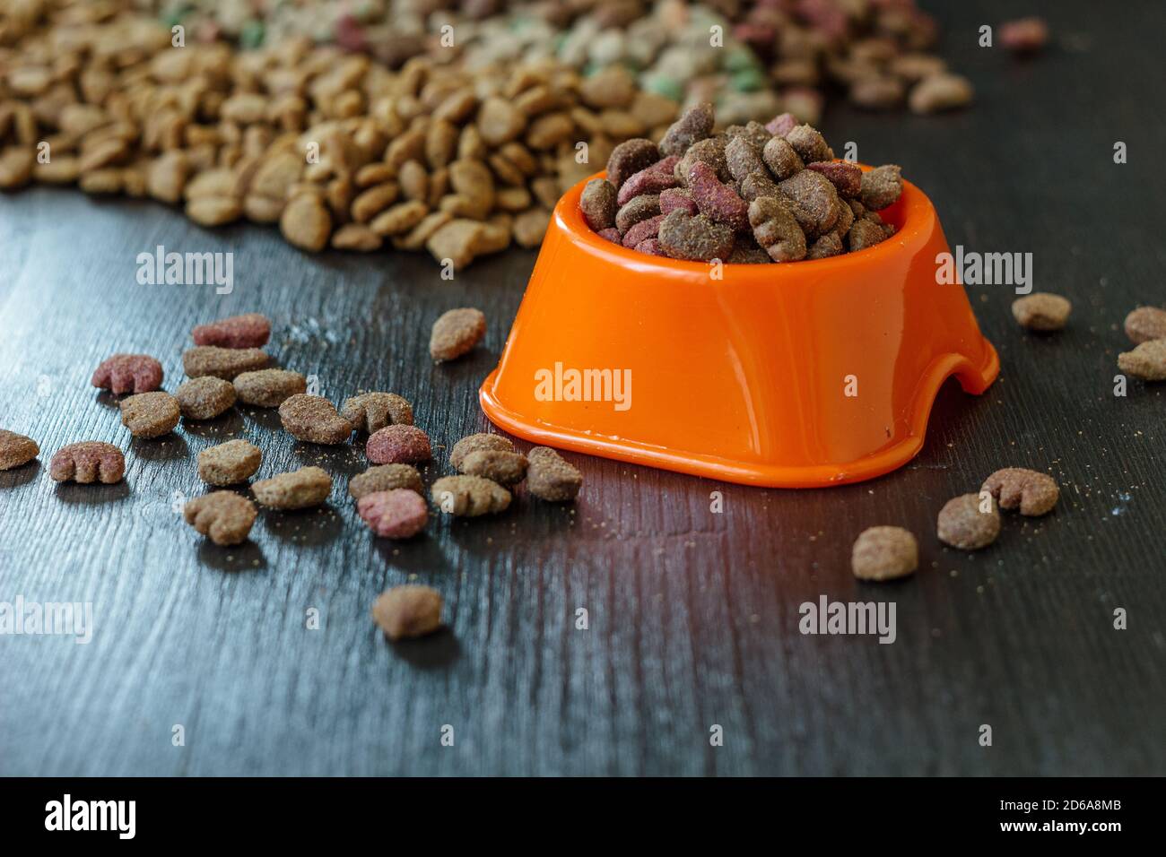 Pet food in bowl for cat and dog Stock Photo Alamy