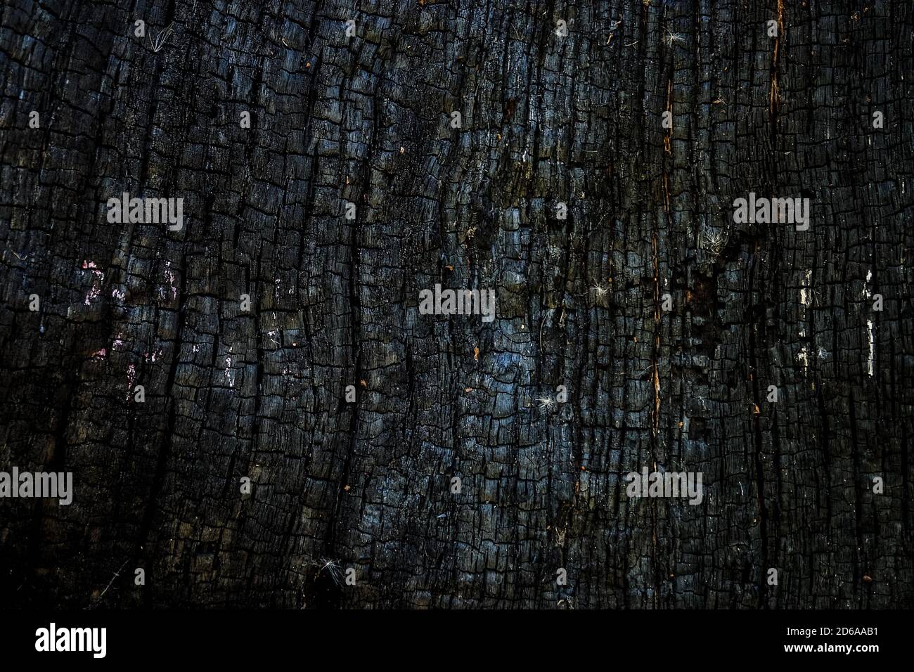 Black burnt wooden surface background. Dark ash and cinder surface ...