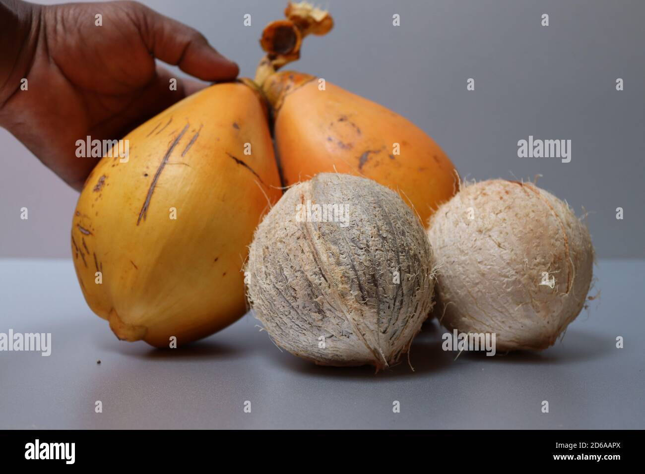 King coconut from Sri Lanka, very tasty and natural energy drink. Stock Photo