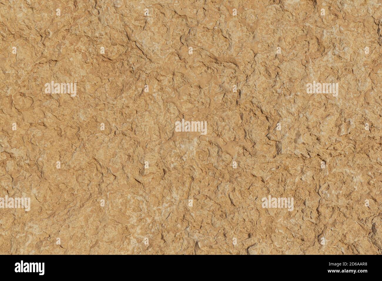 the textured surface of a section of a large sepia colored dolomite boulder from the makthesh ramon crater in israel Stock Photo